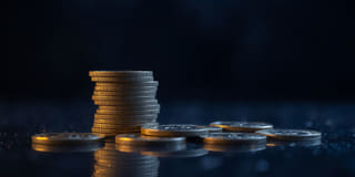 Clear and open platform details featured on the Haveningry trading platform